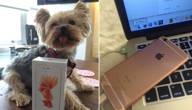 iPhone 17 Air定价899美元，高配低价苹果真良心