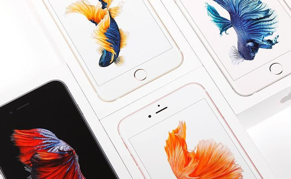 库克官宣：苹果2月19日发布新品，iPhone SE 4即将亮相