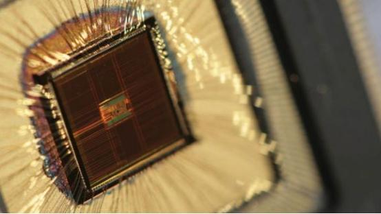 苹果推出Fitness+健身服务，购买新Apple Watch可获三个月免费试用