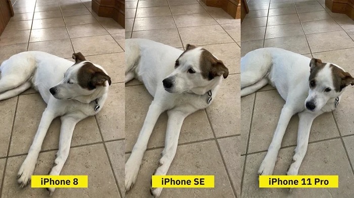 苹果将在美投资提升 20% 至 4300 亿美元