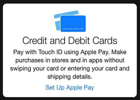 中国模特刘雯将为苹果代言 Apple Watch？