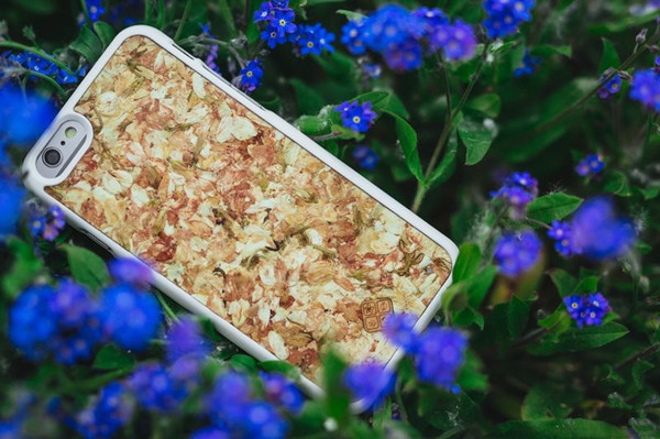 库克发推文纪念乔布斯64岁诞辰：我们怀念他，每一天