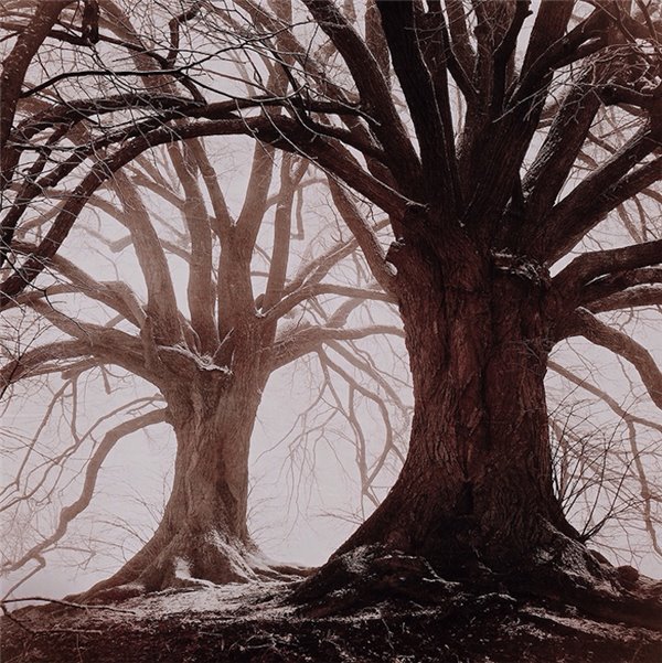 各种花式营销：24K金定制鸡年iPhone 7来了