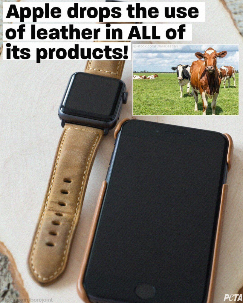 Kanex 为 iPad Pro 发布便携式扩展坞