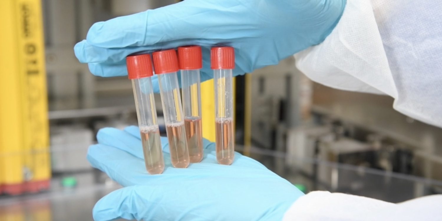 如果这个世界没有苹果将会是怎样？