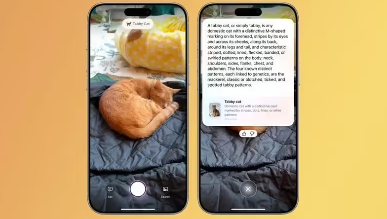 苹果将与微软合作，解决 WIndows 版 iCloud 存在的兼容性问题