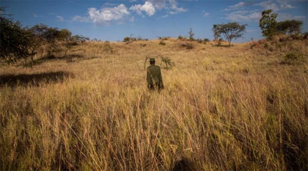 曾发明 iPhone 多点触控屏幕和 Touch ID 的苹果副总裁 Steve Hotelling 退休