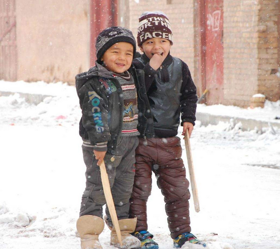 乔布斯已远去！苹果已经完全是库克的苹果了