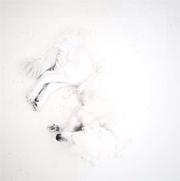 极力保密还是泄漏了天机：苹果新设备将用上以下新功能