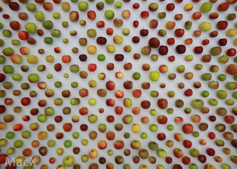 研究机构：苹果 iPhone 13 Pro/Max 最保值，13 mini 较差