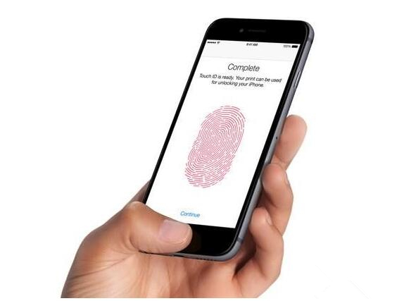 来自“最强单摄”： 苹果展示 iPhone SE 拍摄作品