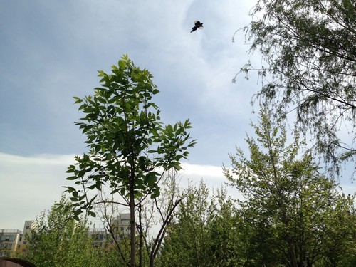 苹果iOS 11.4.1beta 4发布：专注修复错误、改进性能