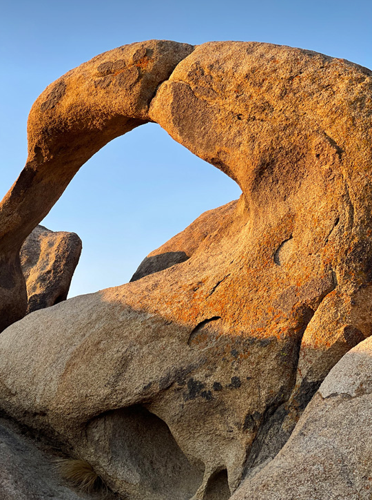 外观定型！iPhone 13 Pro 超清渲染图曝光：新配色亮眼